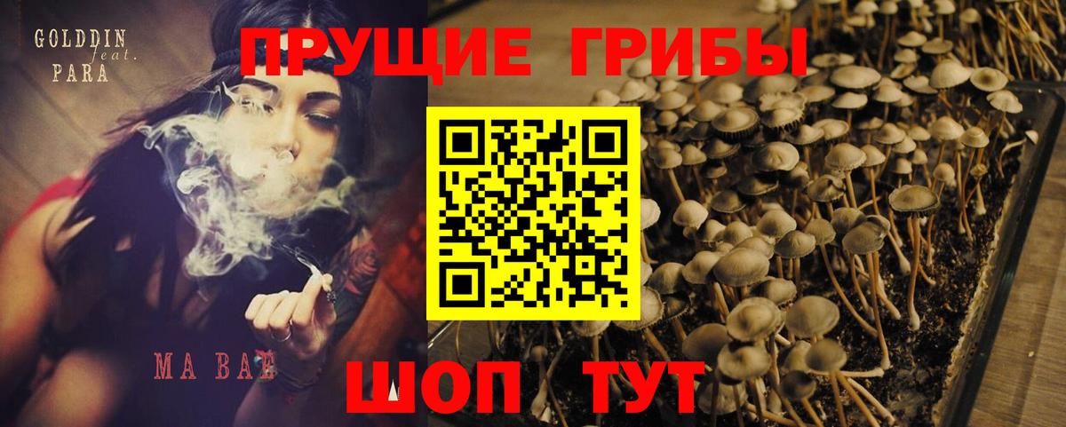 Галлюциногенные грибы мицелий Пушкино