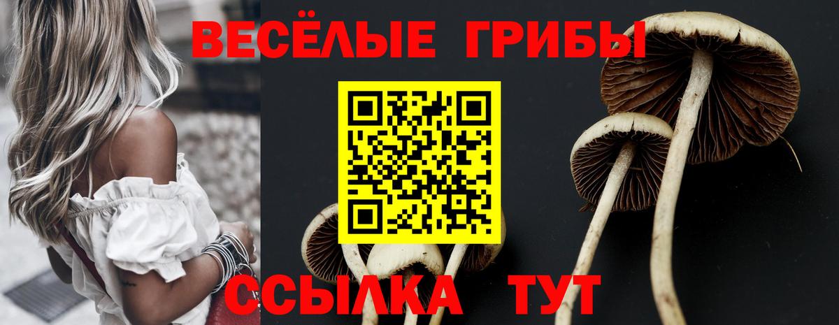 Галлюциногенные грибы GOLDEN TEACHER  Вход с VPN  Пушкино 